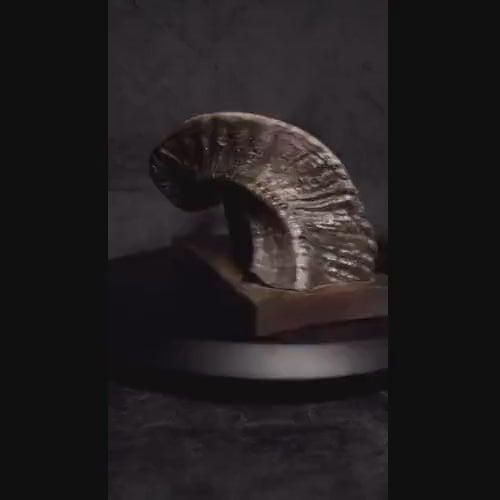 Handcrafted Buffalo Horn Comb and Keratin Treatment - Elevate Your Hair Care Routine Bride Gifts